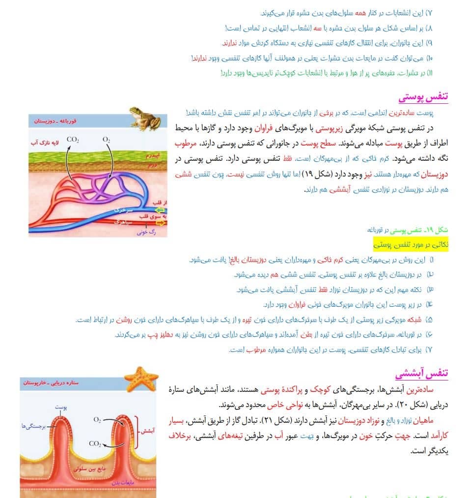 دانلود جزوه جامع زیست شناسی دهم تجربی — تصویر ۵