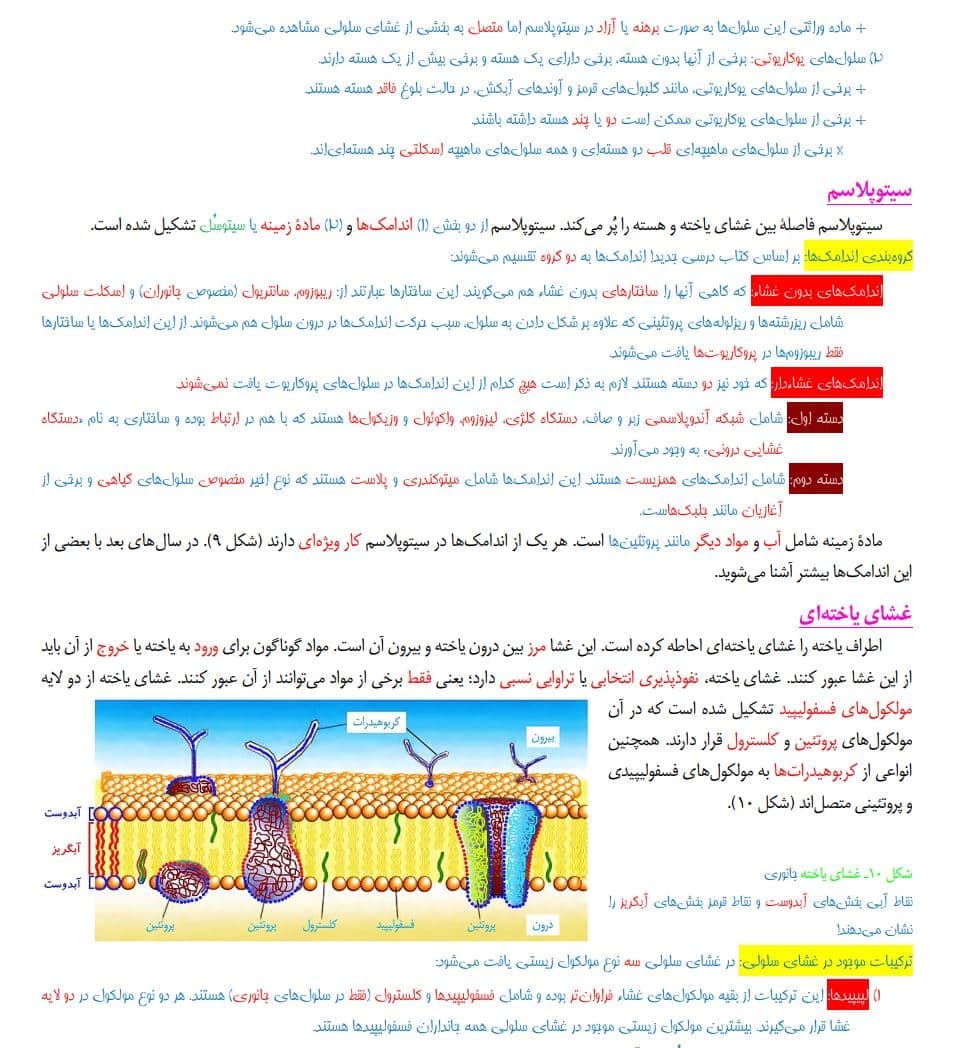 دانلود جزوه جامع زیست شناسی دهم تجربی — تصویر ۲