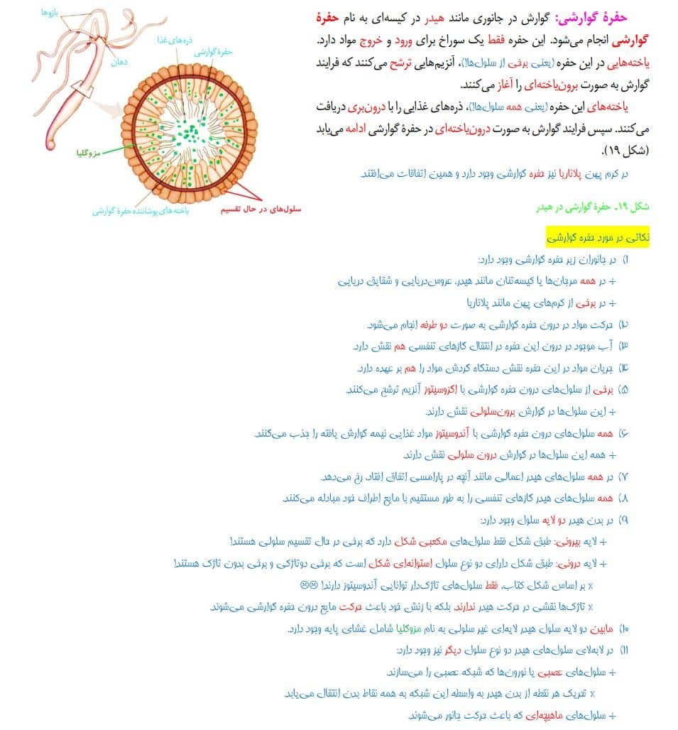دانلود جزوه جامع زیست شناسی دهم تجربی — تصویر ۴