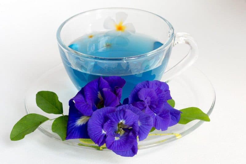 بذر لوبیا پروانه ای بسته 2 عددی