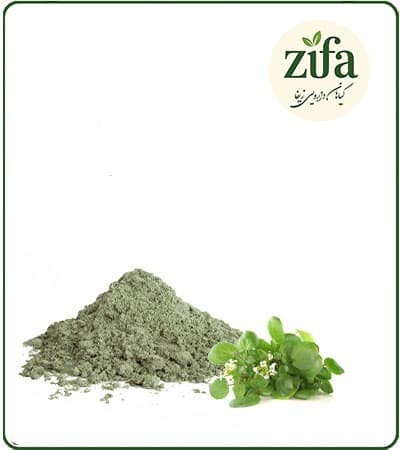 عصاره علف چشمه خشک (پودری)