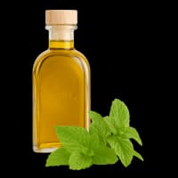 اسانس مایع نعناع