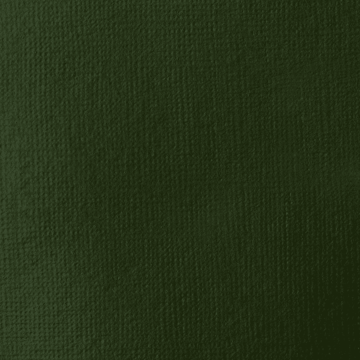 رنگ سبز Hooker اکریلیک LIQUITEX مدل BASICS — تصویر ۳