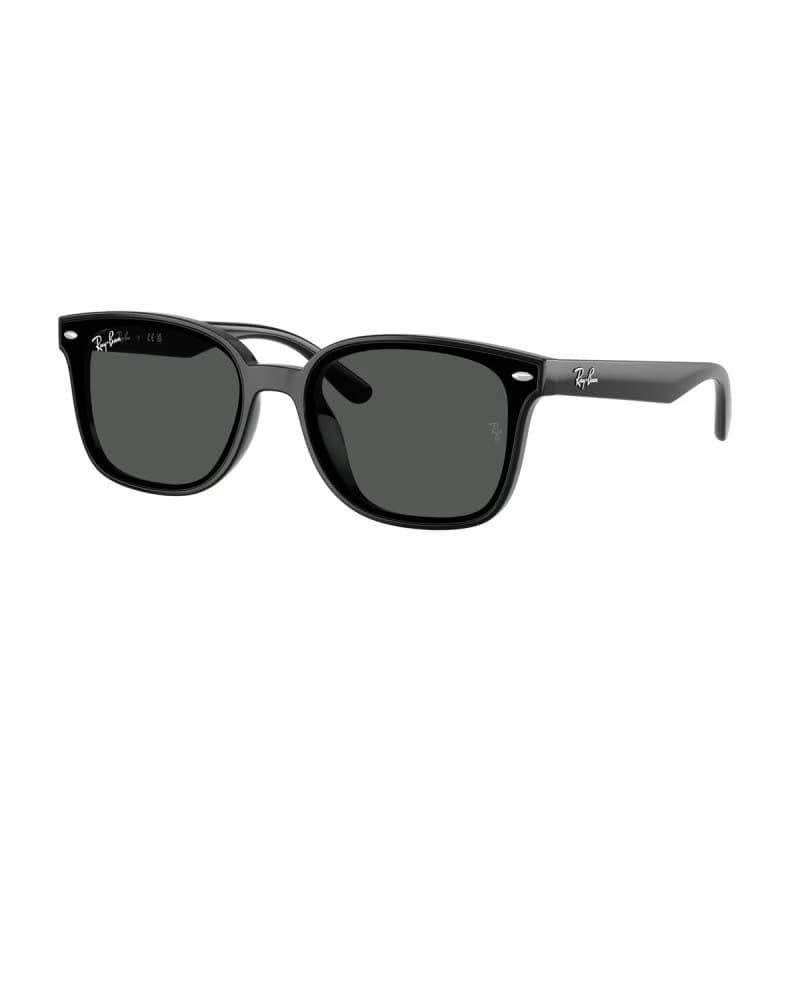 عینک آفتابی اسپرت ریبن پلاریزه مدل RayBan RB4461D