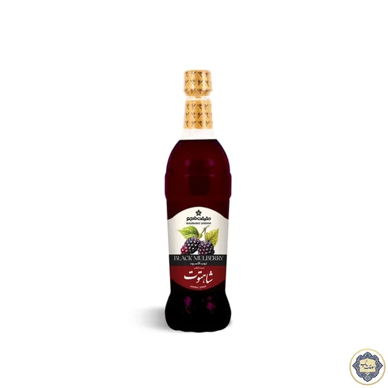 شربت شاهتوت حقیقت دادجو – 650 گرم