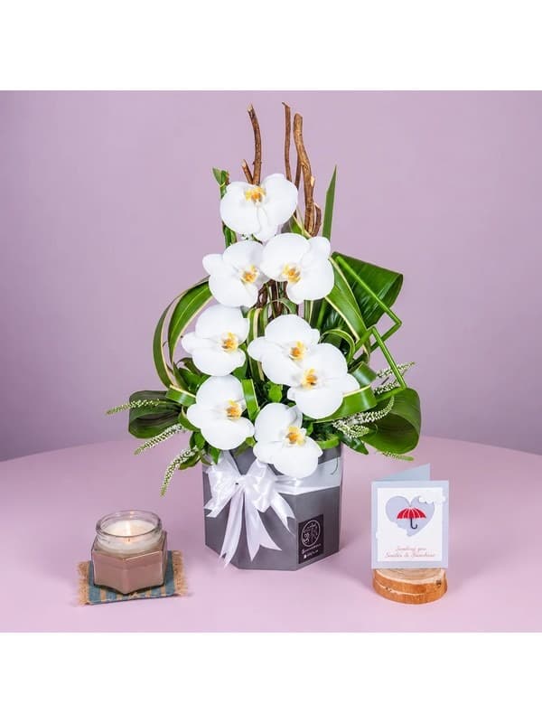 گل برای تولد گرافیست