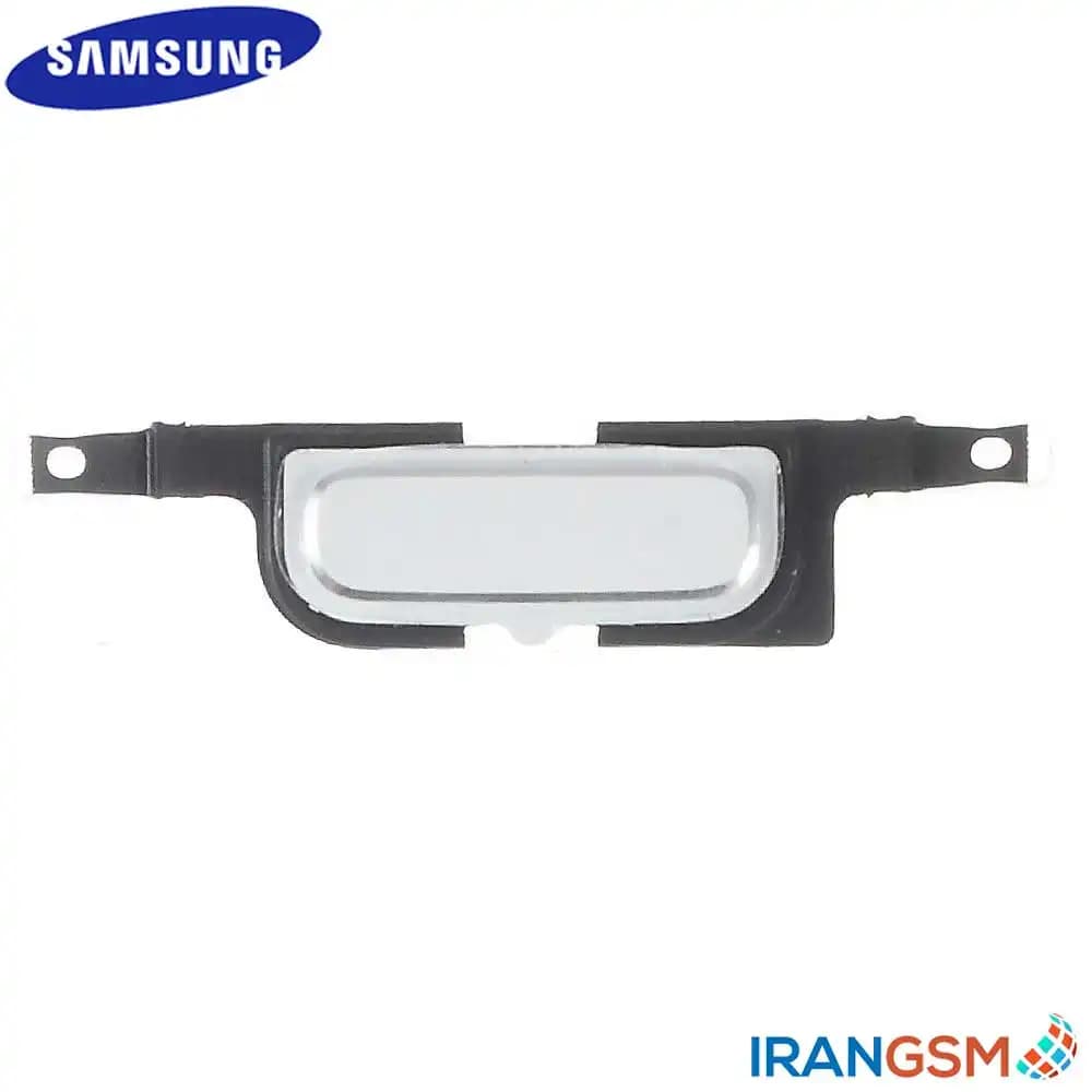 دکمه هوم موبایل سامسونگ Samsung Galaxy Core 2013 GT-I8262
