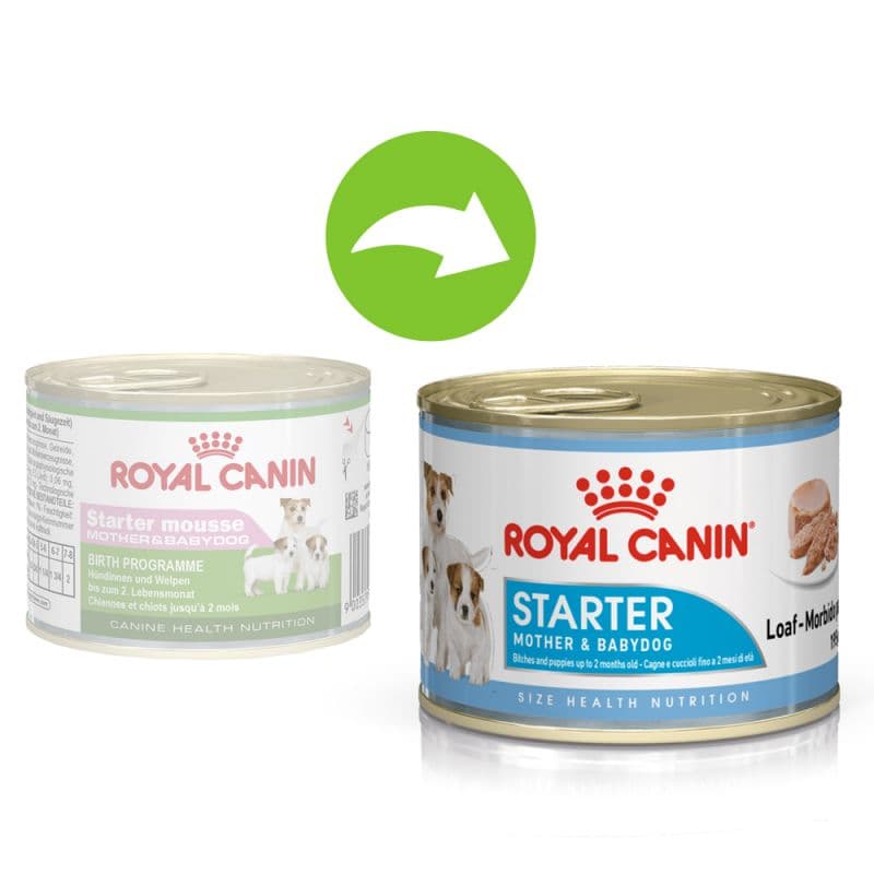 کنسرو استارتر مادر و توله سگ رویال کنین – Royal Canin Starter Mousse — تصویر ۳