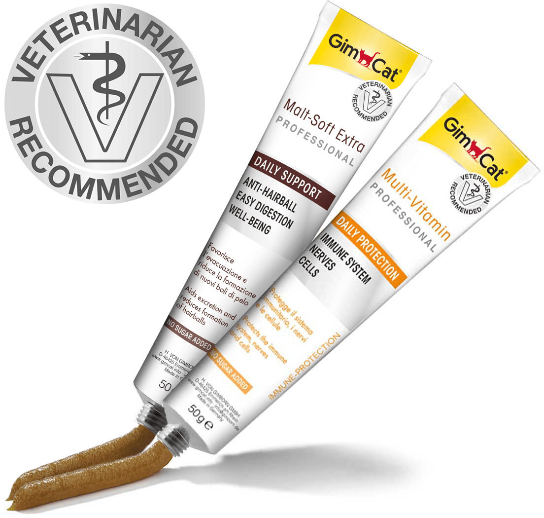 خمیر مولتی ویتامین گربه ۱۰۰ گرمی جیم کت-Gimcat Multi Vitamin Paste — تصویر ۲