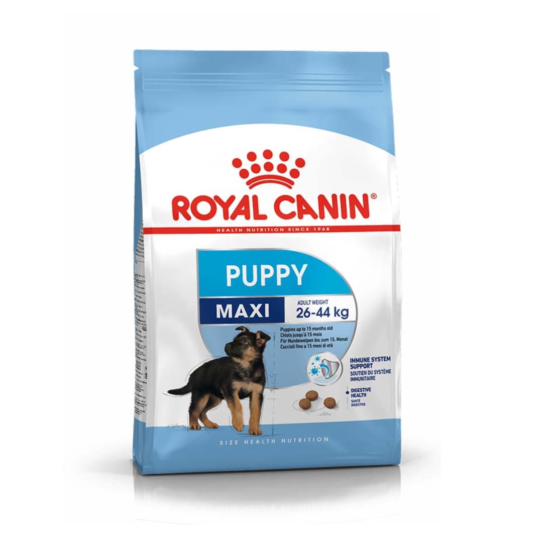 غذای توله سگ مکسی پاپی رویال کنین – Royal Canin Maxi Puppy