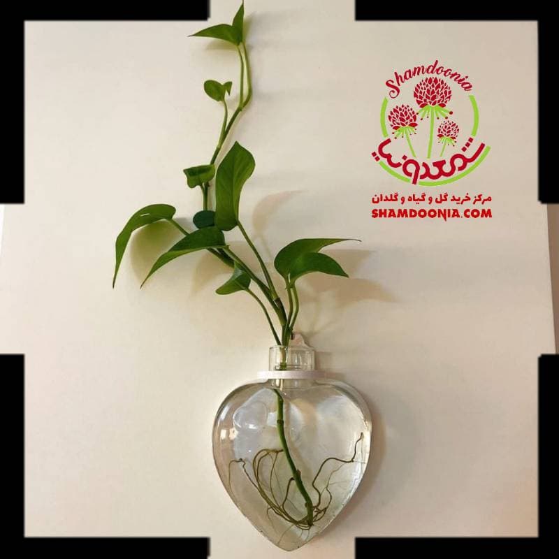 گلدان دیواری شیشه ای قلبی