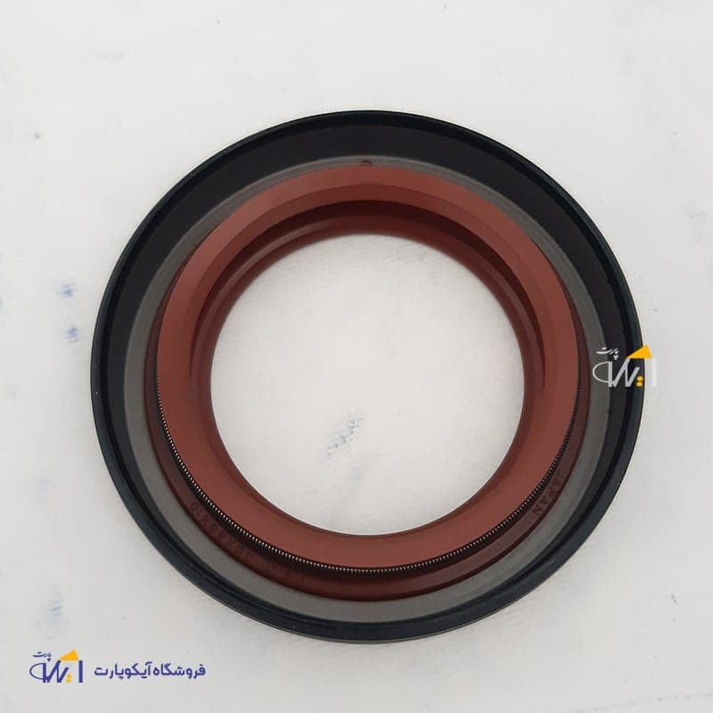 کاسنمد شفت پژو 405 سمت چپ ویژن ژاپن شرکتی ایساکو — تصویر ۲
