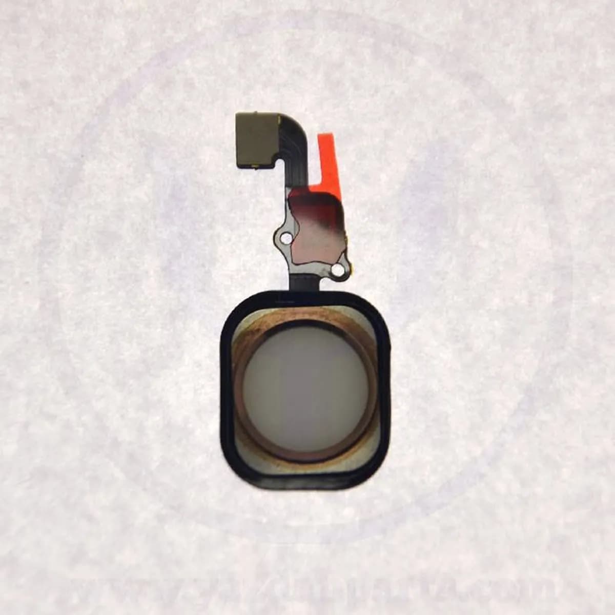 HOME BUTTON IPHONE 6S WHITE ORG — تصویر ۲