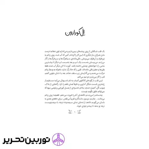 کتاب شکلات وحشی — تصویر ۳