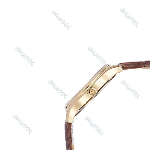 ساعت مچی زنانه پیر کاردین(Pierre Cardin)|مدل PC902432F02 — تصویر ۲