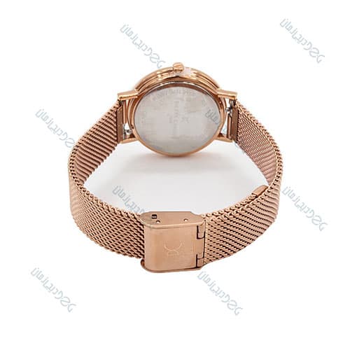 ساعت مچی زنانه پیر کاردین(Pierre Cardin)|مدل CBV.1510 — تصویر ۲