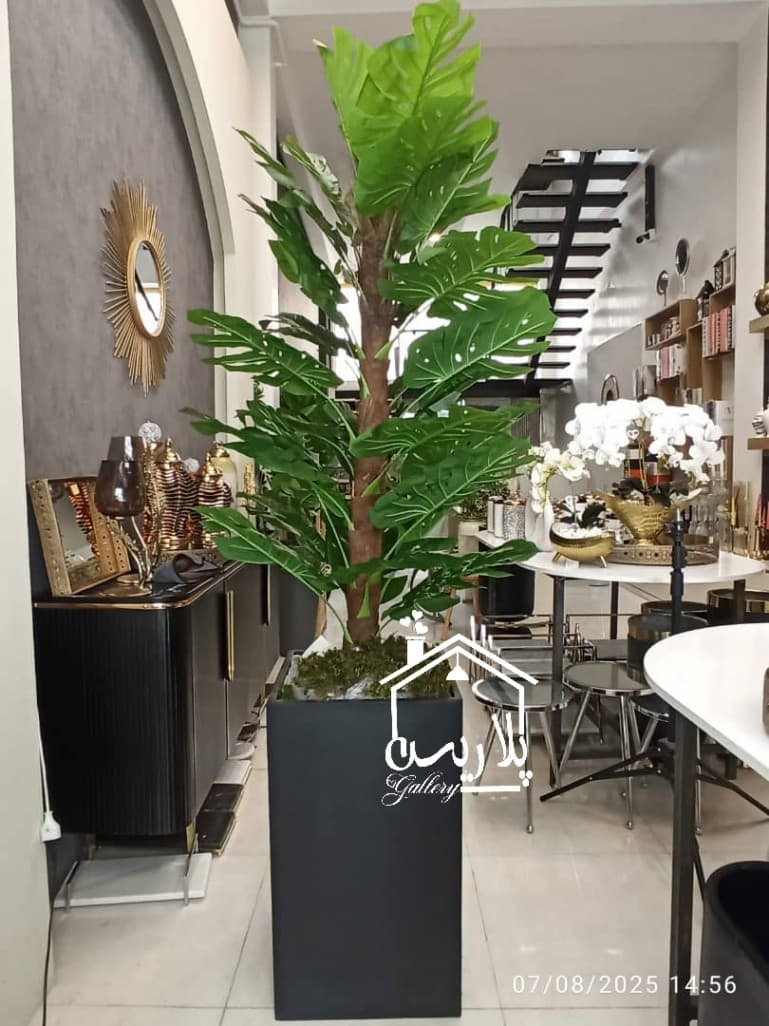 درختچه مصنوعی سیکاس ۱۶۲۳۳ — تصویر ۲