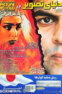 مجله دنیای تصویر – شماره 83 – مرداد 1379