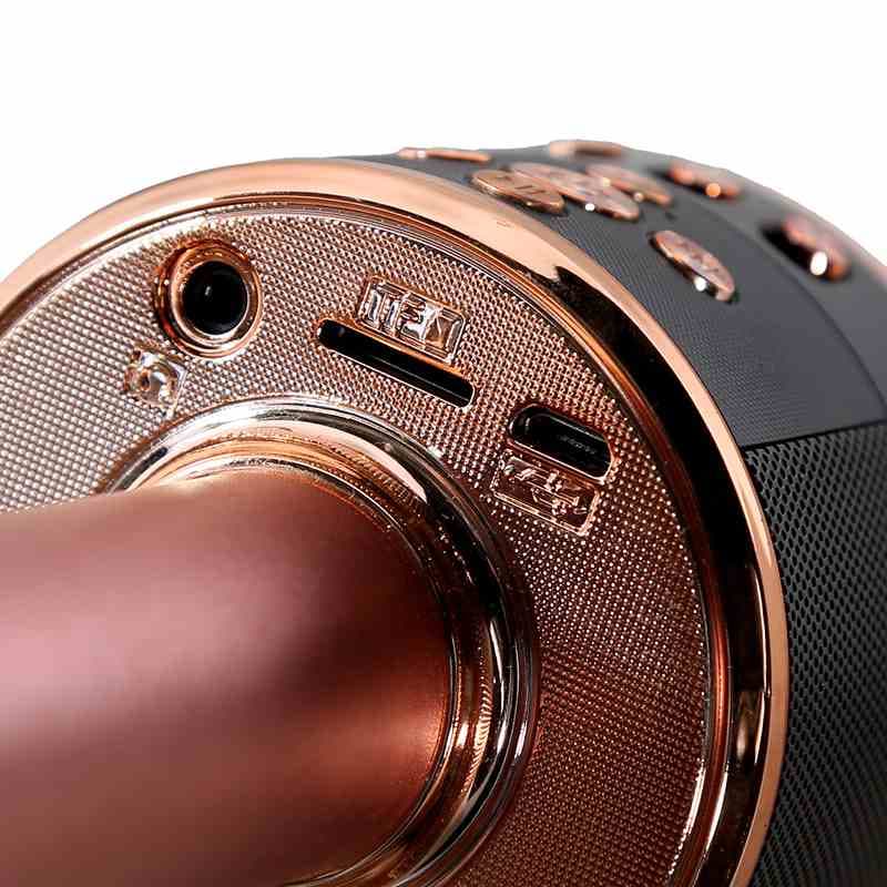 میکروفن فانتزی مدل WS-858LC (پس کرایه) — تصویر ۵