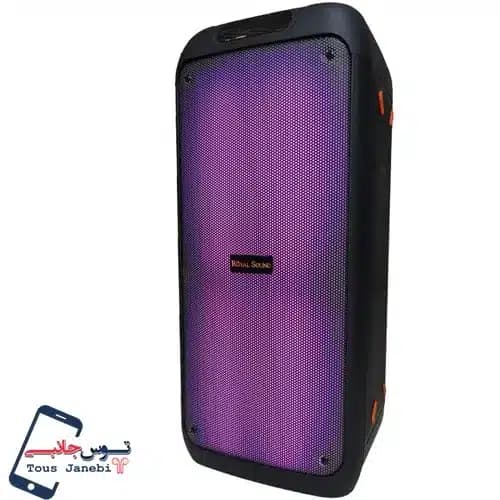 اسپیکر Royal Sound مدل RSD31 — تصویر ۲
