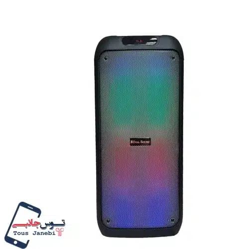 اسپیکر Royal Sound مدل RSD31 — تصویر ۴