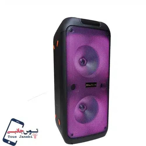 اسپیکر Royal Sound مدل RSD32 — تصویر ۲