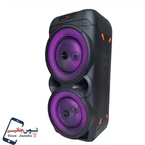 اسپیکر Royal Sound مدل RSD33 — تصویر ۴