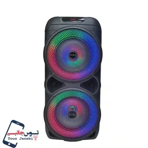 اسپیکر Royal Sound مدل RSD33 — تصویر ۵