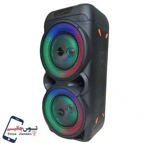 اسپیکر Royal Sound مدل RSD33