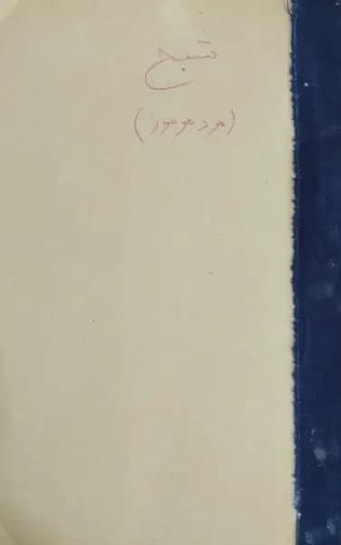 شبح (مرد مرموز)
