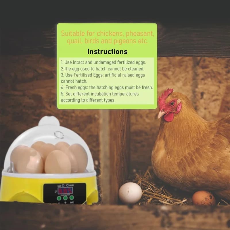 دستگاه جوجه‌کشی HHD 7 Egg Incubator | ظرفیت 7 تخم، کنترل دمای خودکار، نرخ هچینگ 98% — تصویر ۳