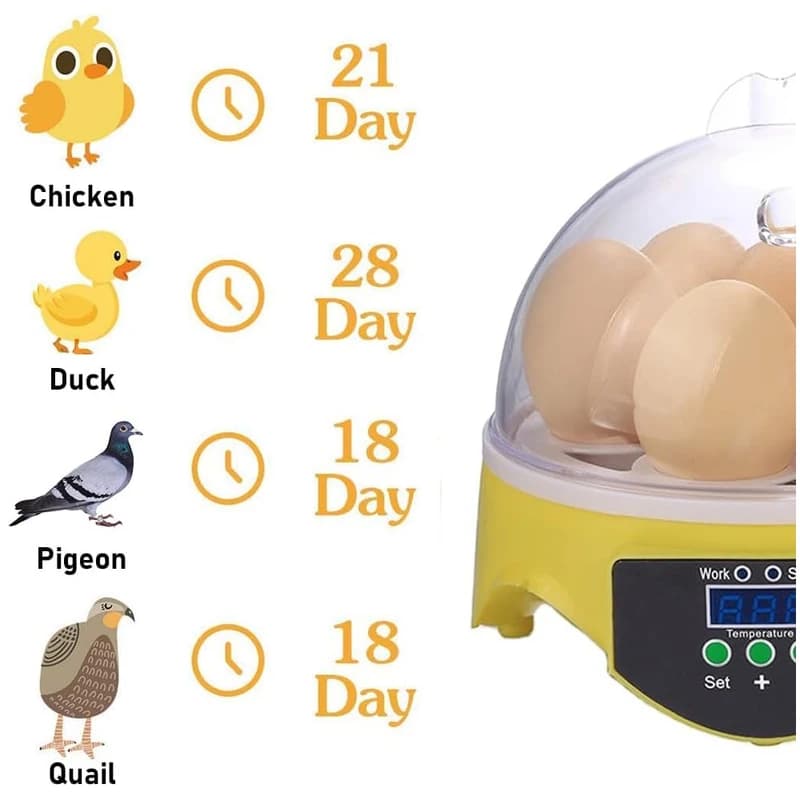 دستگاه جوجه‌کشی HHD 7 Egg Incubator | ظرفیت 7 تخم، کنترل دمای خودکار، نرخ هچینگ 98% — تصویر ۵