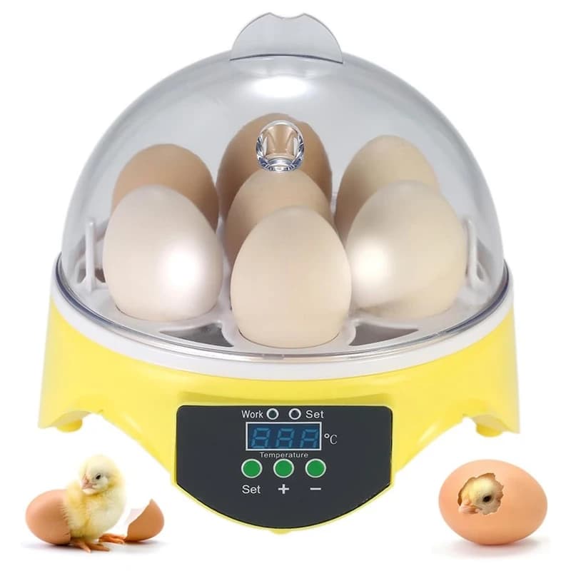 دستگاه جوجه‌کشی HHD 7 Egg Incubator | ظرفیت 7 تخم، کنترل دمای خودکار، نرخ هچینگ 98% — تصویر ۷