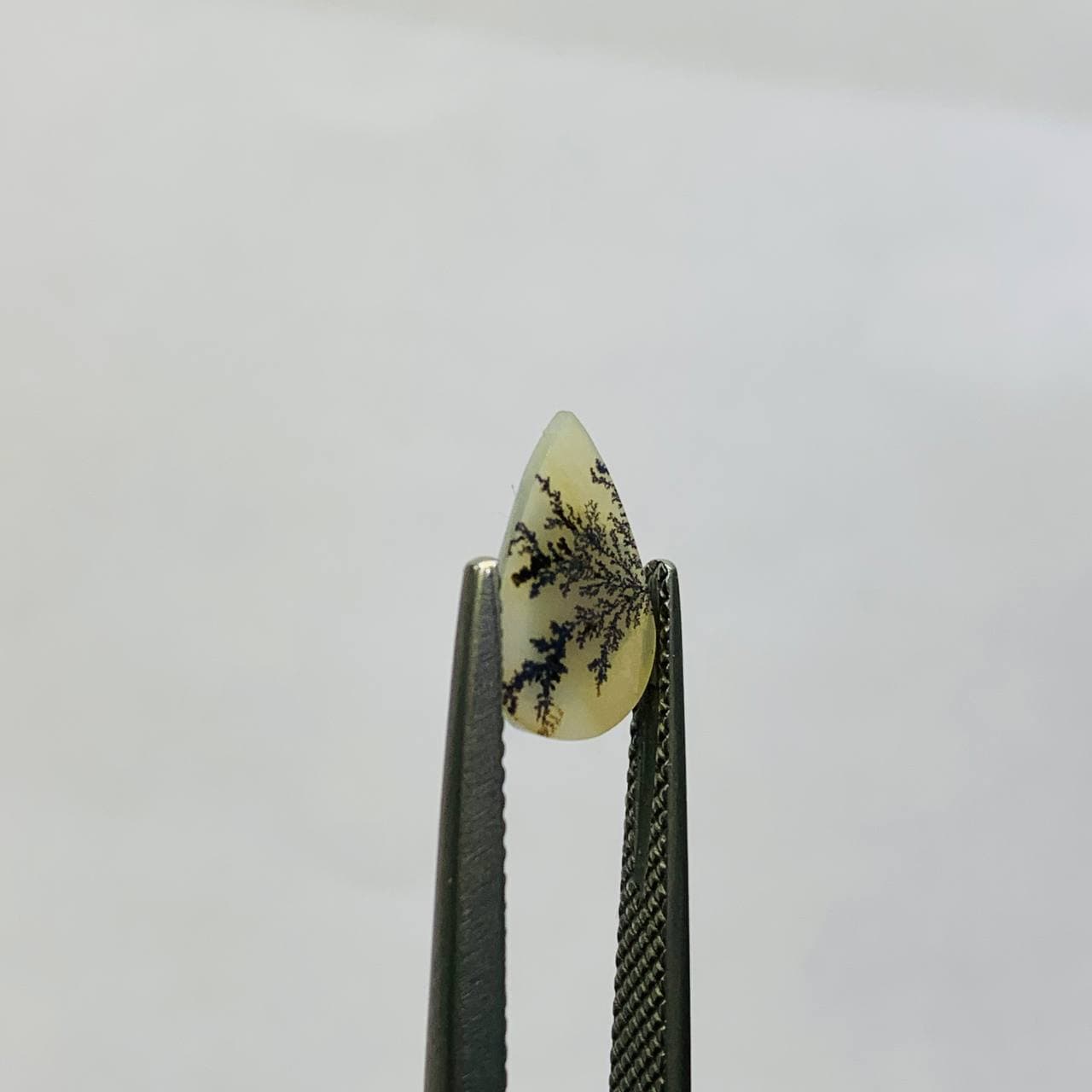 نگین شجر طبیعی هندوستان سایز 11*7 تراش اشکی — تصویر ۲