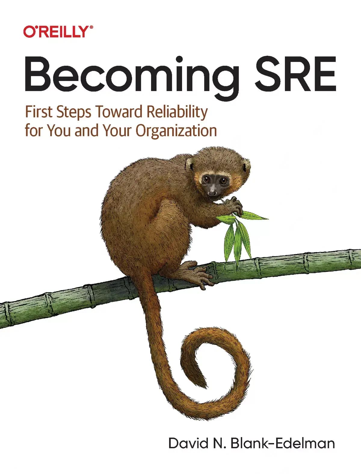 کتاب Becoming SRE