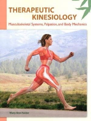 دانلود کتاب Therapeutic Kinesiology Musculoskeletal Systems, Palpation, and