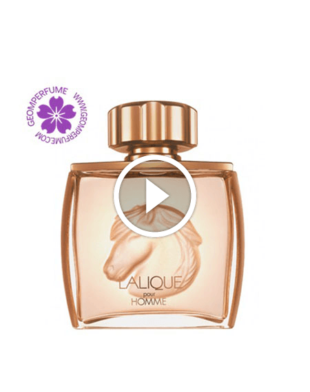 عطر ادکلن لالیک پور هوم ایکوز | Lalique Pour Homme Equus — تصویر ۳