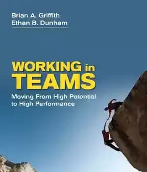 دانلود کتاب Working in Teams: Moving From High Potential to High Performance – کار در تیم ها: حرکت از پتانسیل…