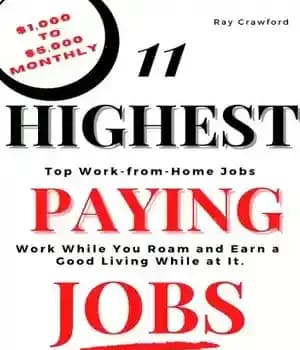دانلود کتاب 11 Highest Paying Jobs: Work from Home While You Roam – 11 شغل پردرآمد: کار از خانه در…