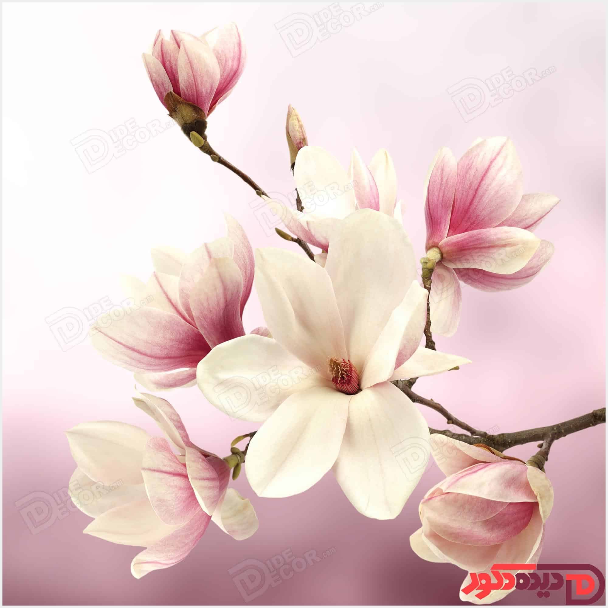 پرده زبرا دومکانیزم تصویری چاپی گلدار بنفش کد AZD-55 — تصویر ۴