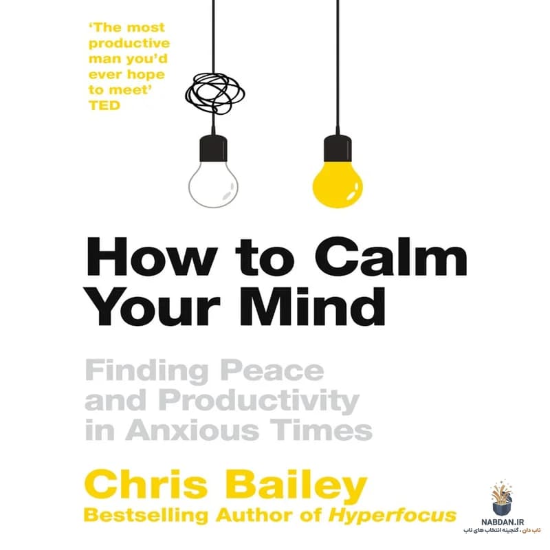 کتاب How to Calm Your Mind (چگونه ذهن خود را آرام کنید) نسخه انگلیسی PDF | کریس بیلی — تصویر ۳