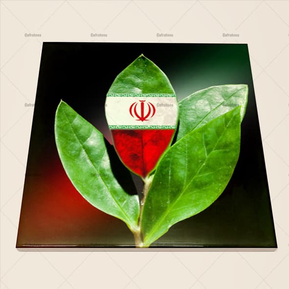 کاشی سرامیکی با عکس رشد ایران کد 1110