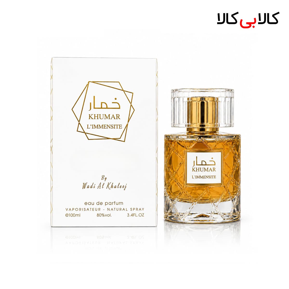 ادکلن وادی الخلیج خمار ایمنسیت مردانه حجم 100 میلی لیتر
