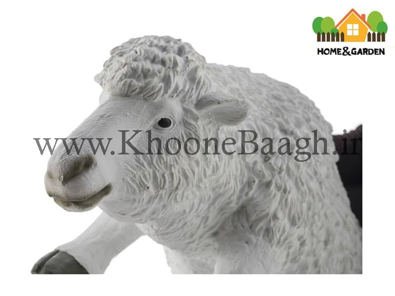 مجسمه مدل گوسفند — تصویر ۳