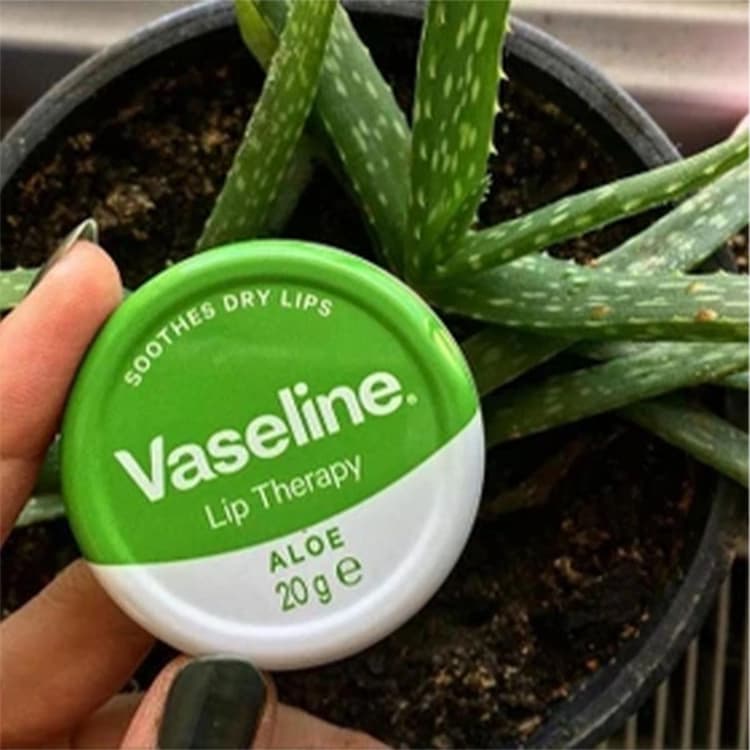 بالم لب Vaseline مدل Lip Therapy Aloe Vera — تصویر ۳