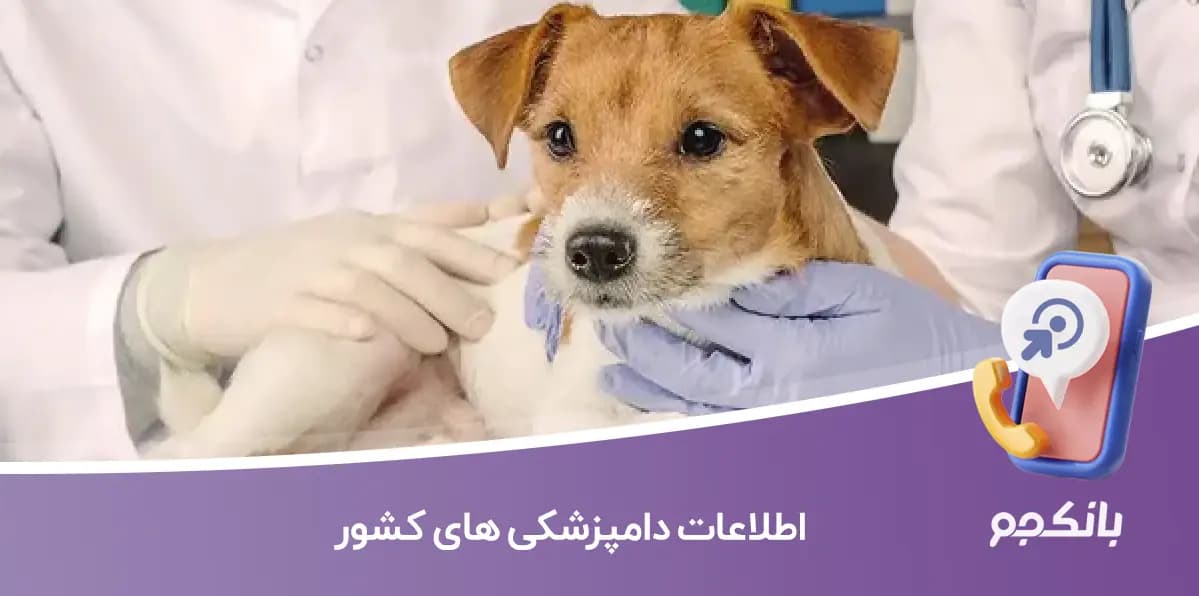 اطلاعات دامپزشکی های کشور
