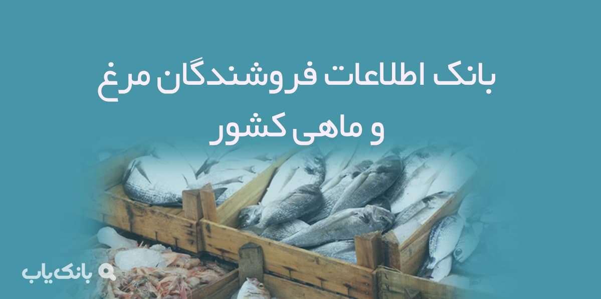 اطلاعات فروشندگان مرغ و ماهی کشور — تصویر ۲