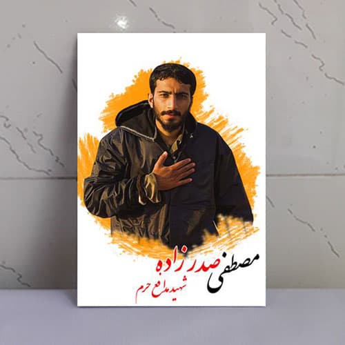 قاب شاسی شهید صدرزاده