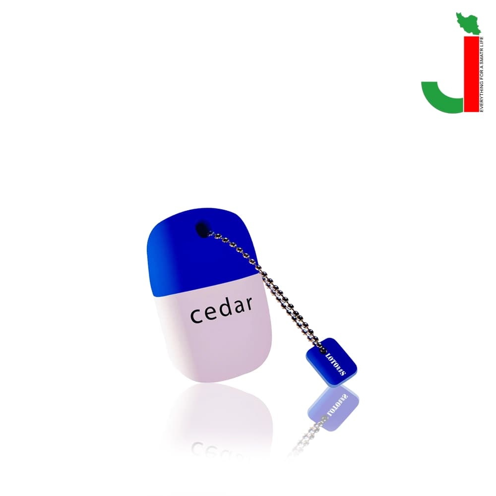 فلش مموری لوتوس مدل CEDAR ظرفیت 64 گیگابایت USB 2.0
