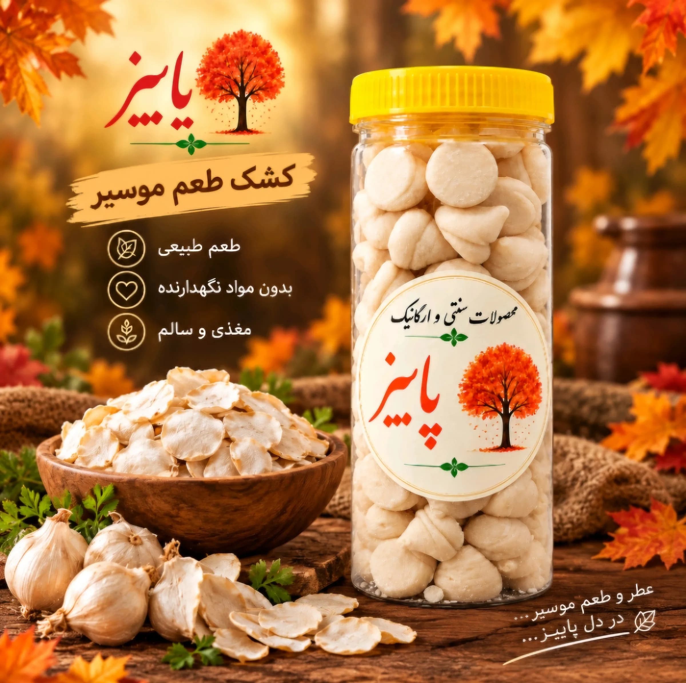 کشک مخروطی با طعم موسیر – 500 گرم مجموعه 2 عددی — تصویر ۳